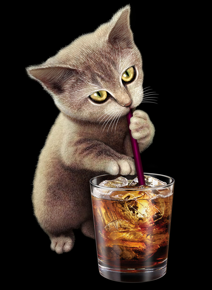 cat and soft drink von Adam Lawless