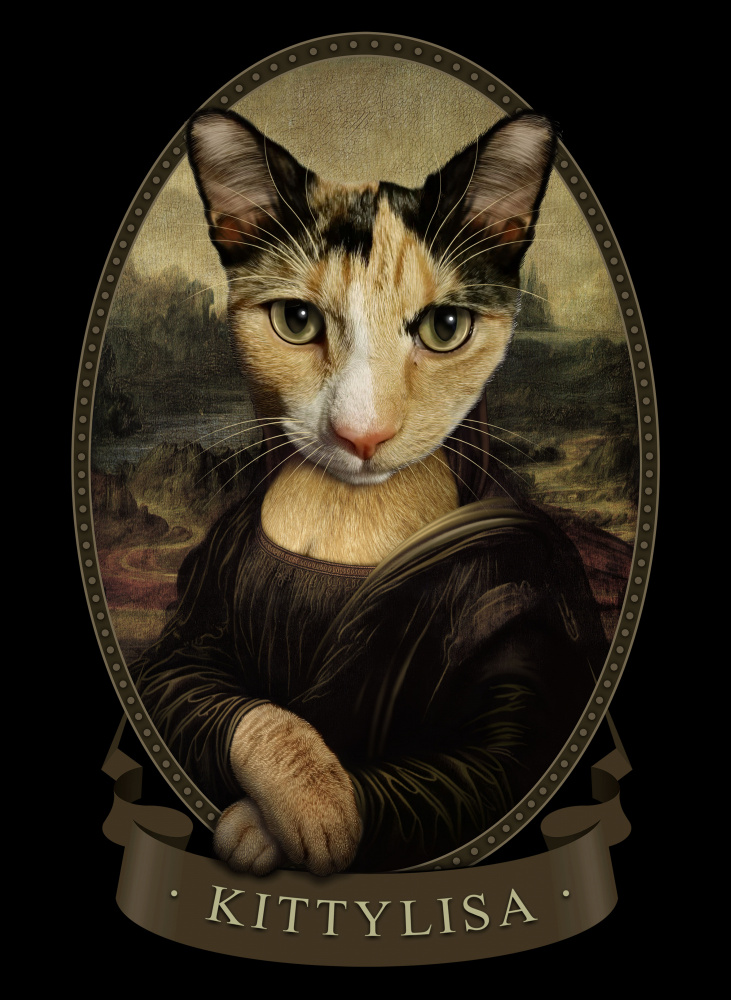 kittylisa von Adam Lawless