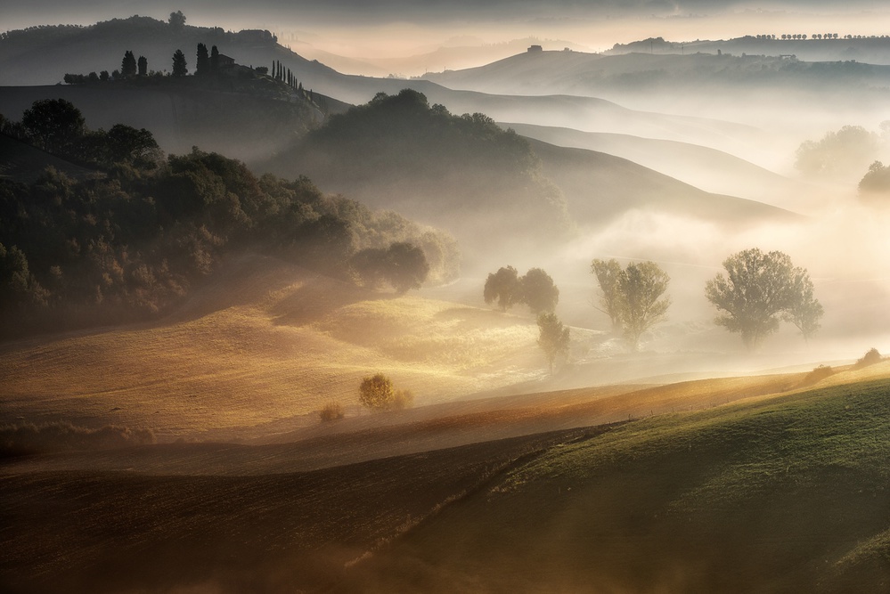 "IN THE EMBRACE OF THE FOG" von Adam Pachula