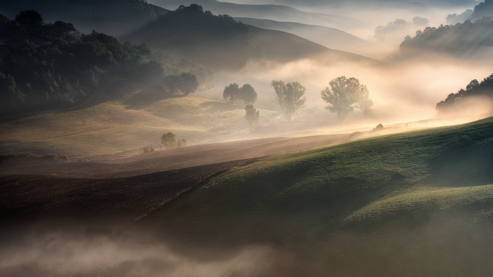 "IN THE EMBRACE OF THE FOG II" von Adam Pachula