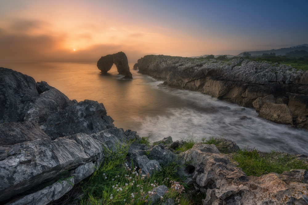 "LIGHTLY FOGGY MORNING" von Adam Pachula