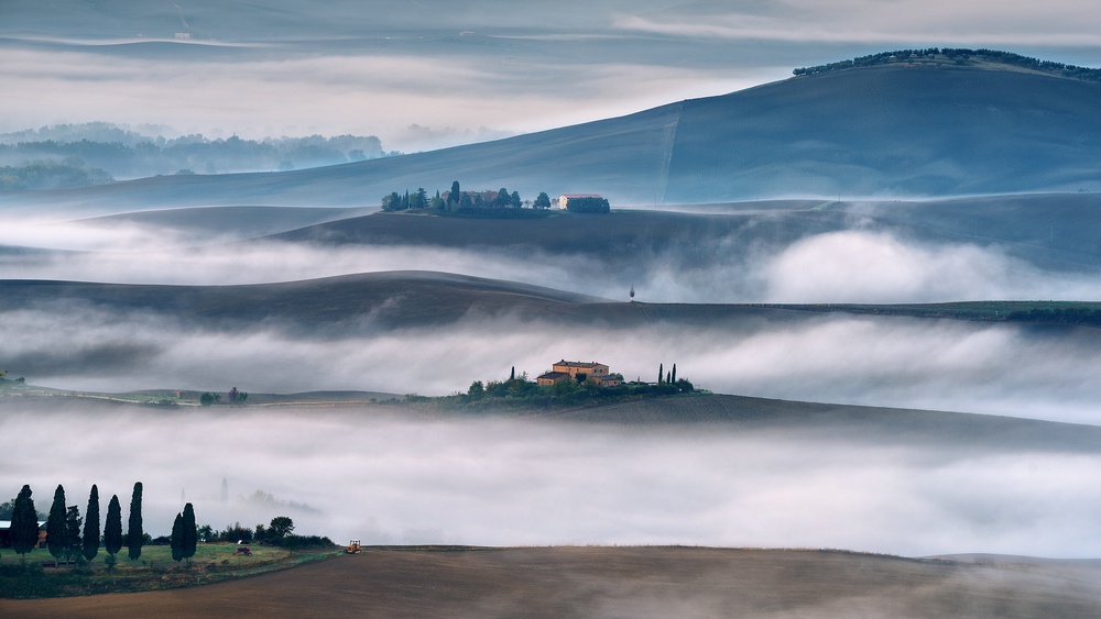 "FOG STORIES" von Adam Pachula