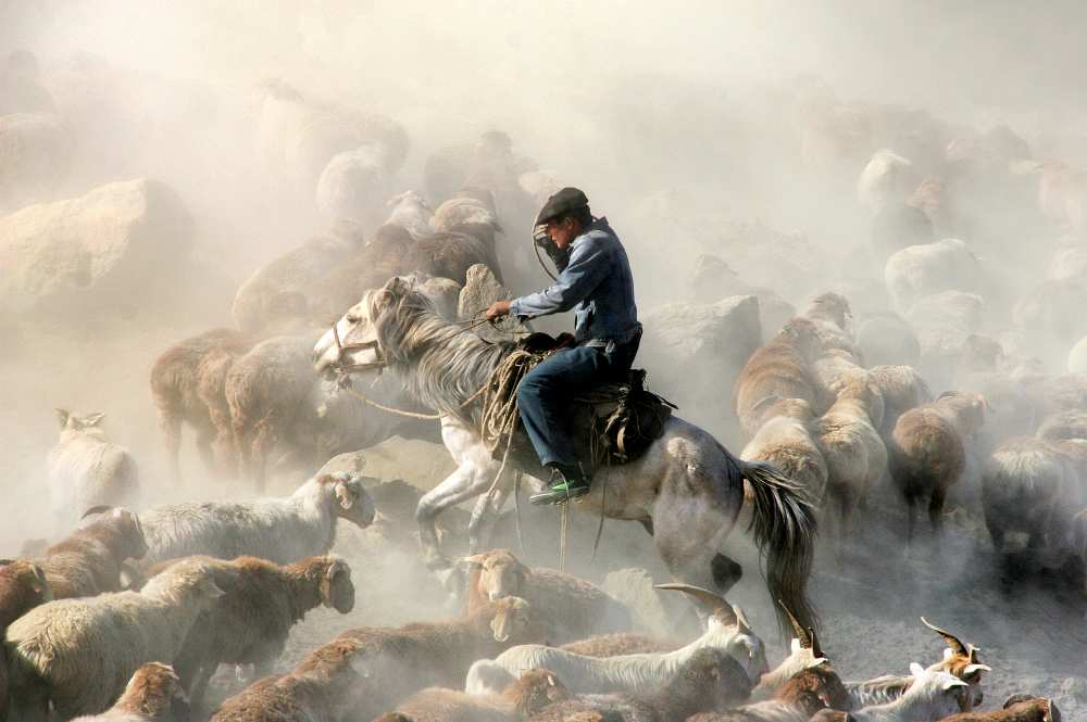 Migration von Adam Wong