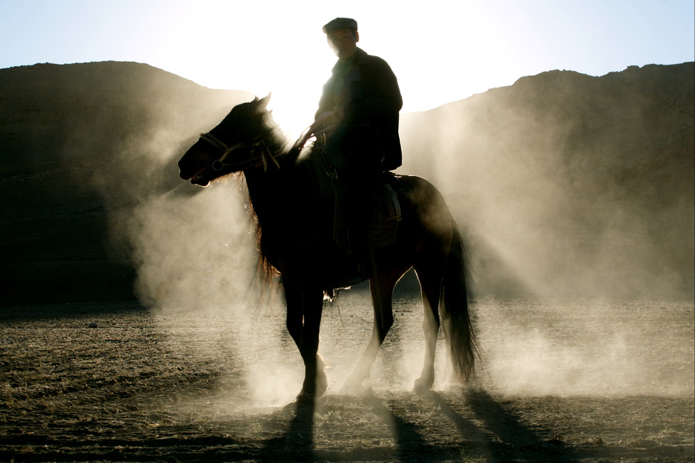 Shepherd von Adam Wong