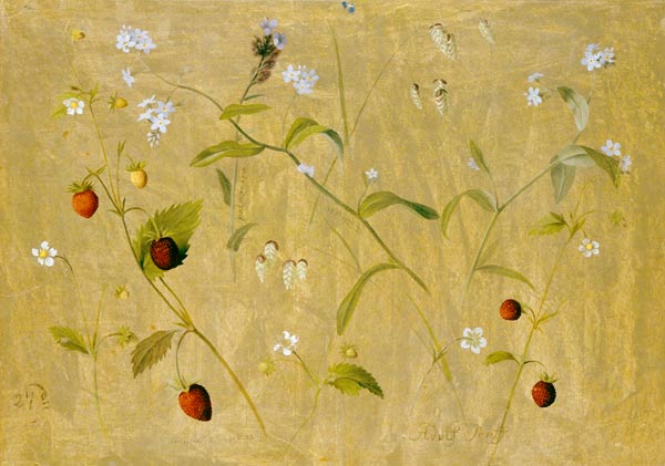 Erdbeeren und Vergissmeinnicht von Adolf Senff