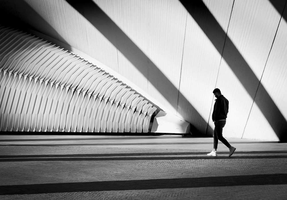 Meditating between lines and shadows von Adolfo Urrutia