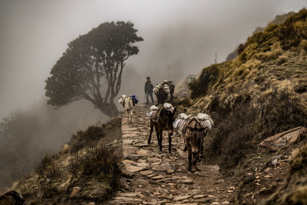 Delivery crew von Adrian