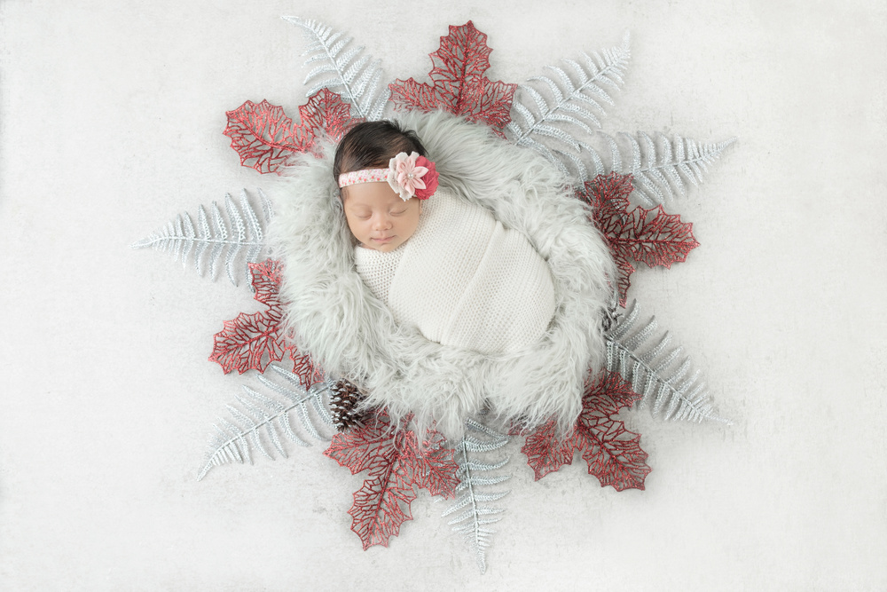 Anika von Adrian de Vera