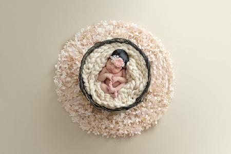 Theodoras floral bed