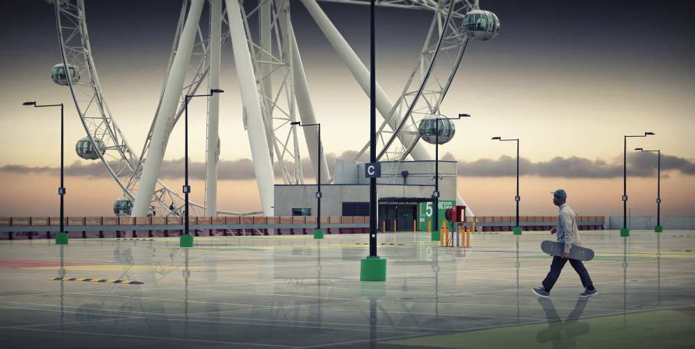 New growth forestry von Adrian Donoghue