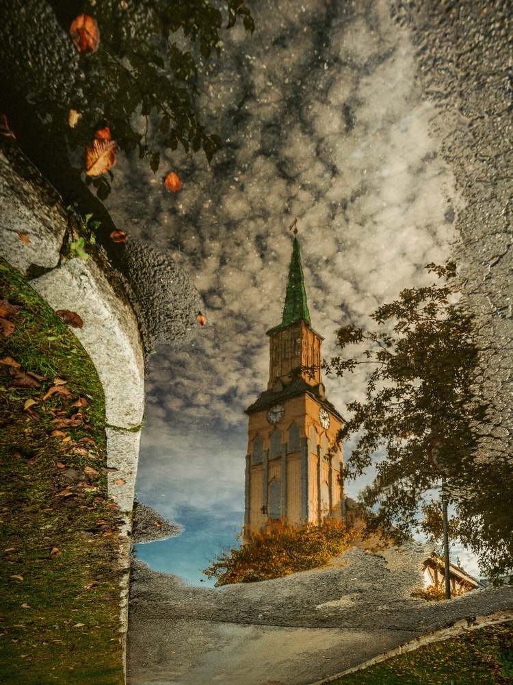 The World Within von Adrian Popan