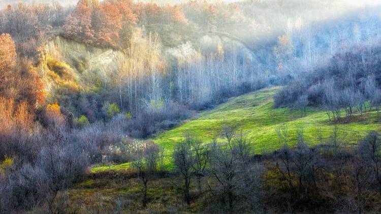 November colors von Adrian Popan
