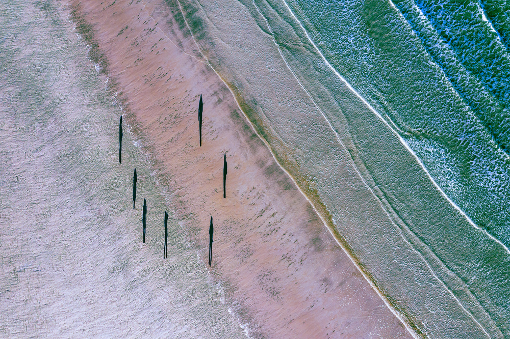 Seven von Adrian Popan