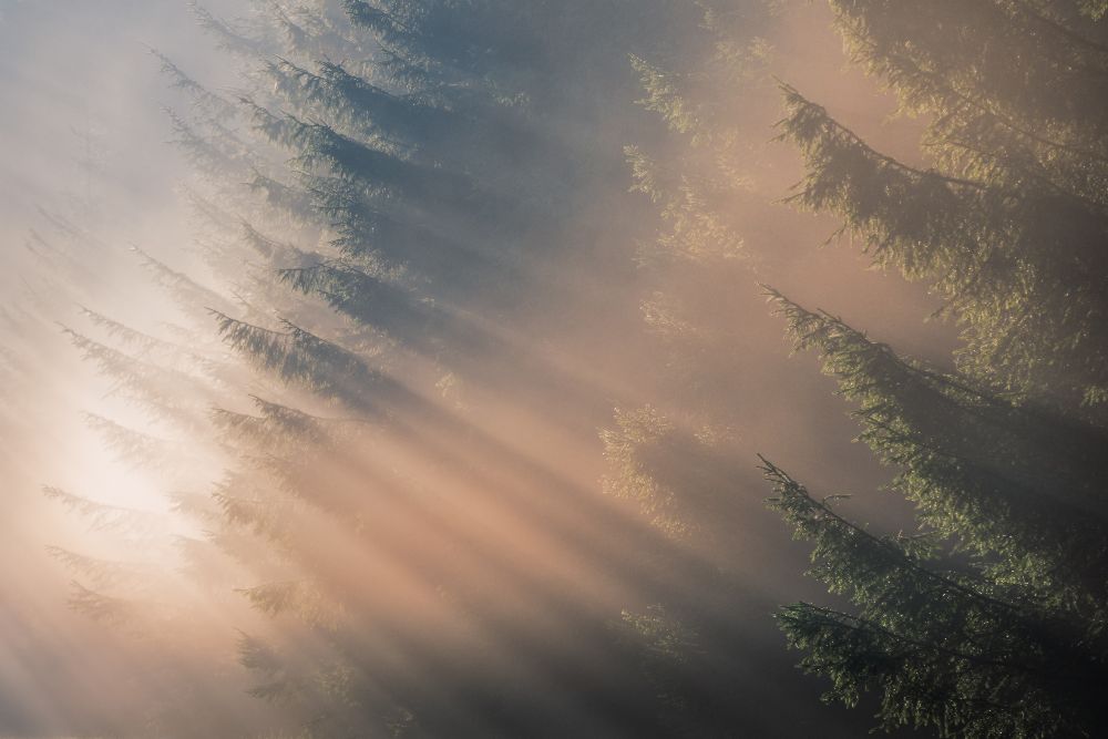 Zeichen des Herbstes von Adrian Popan