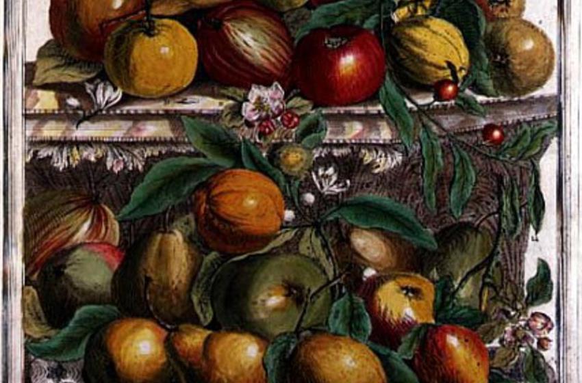 (after) Pieter Casteels