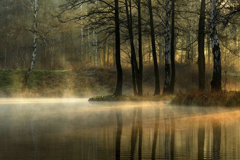 Silent light. von Agnieszka Jankowska