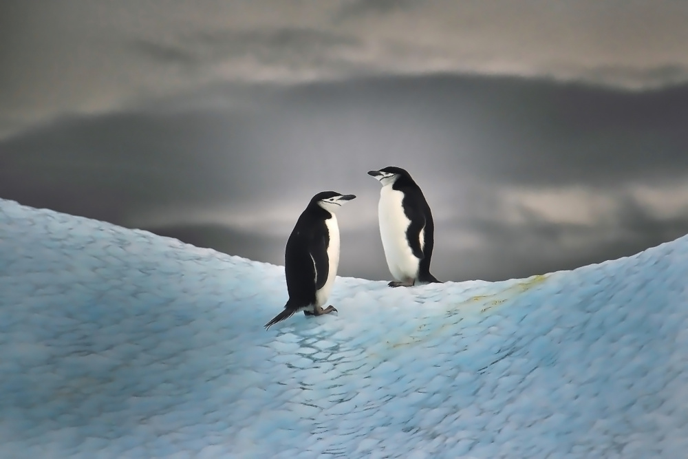 Couple on ice von Aharon Golani