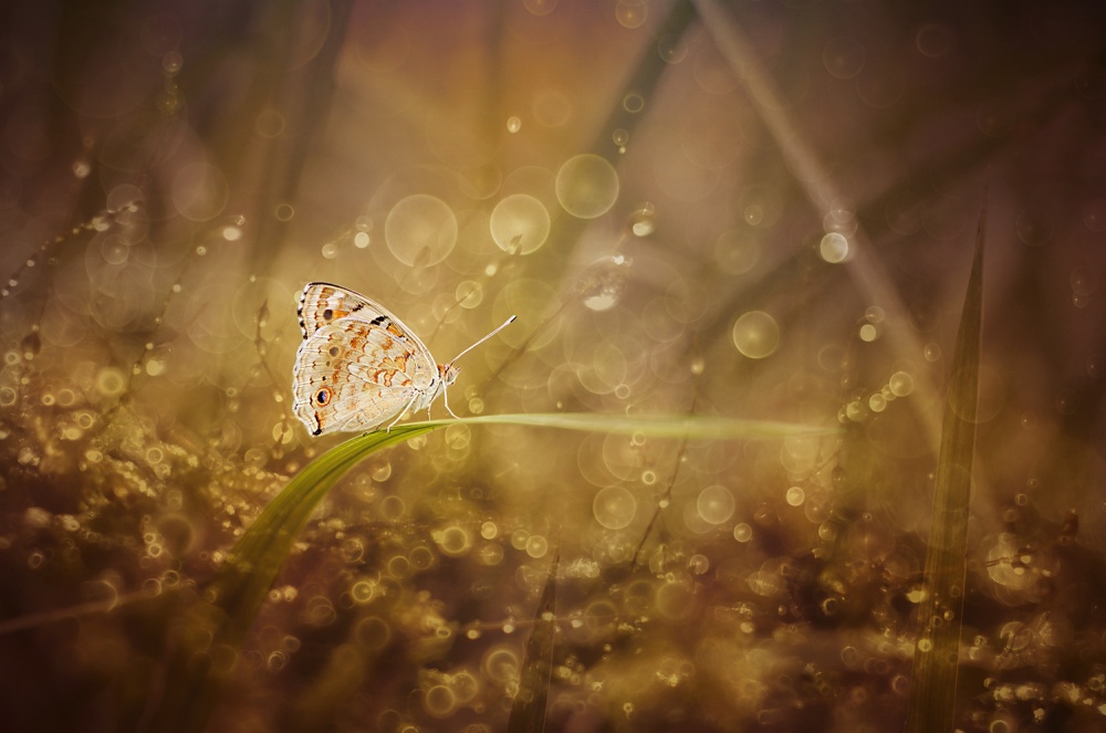 Little World von Ahmad Baihaki