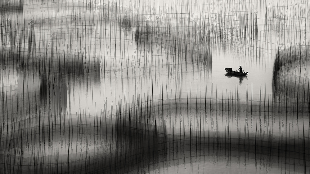 Livelihood Circles ... von Ahmed Abdulazim