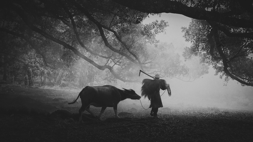 Synergy ... von Ahmed Abdulazim