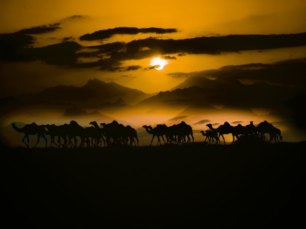 nostalgia von Ahmed Classic