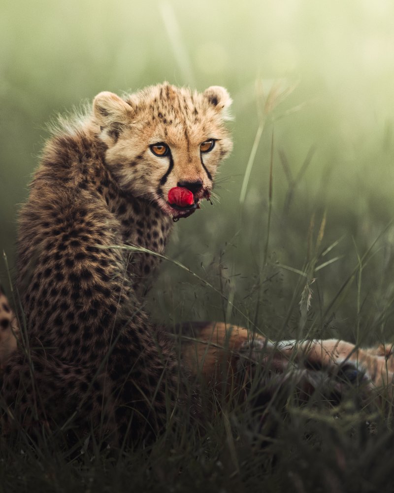 Tasty von Ahmed Sobhi