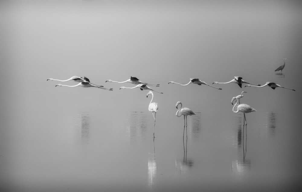 At a glance von Ahmed Thabet