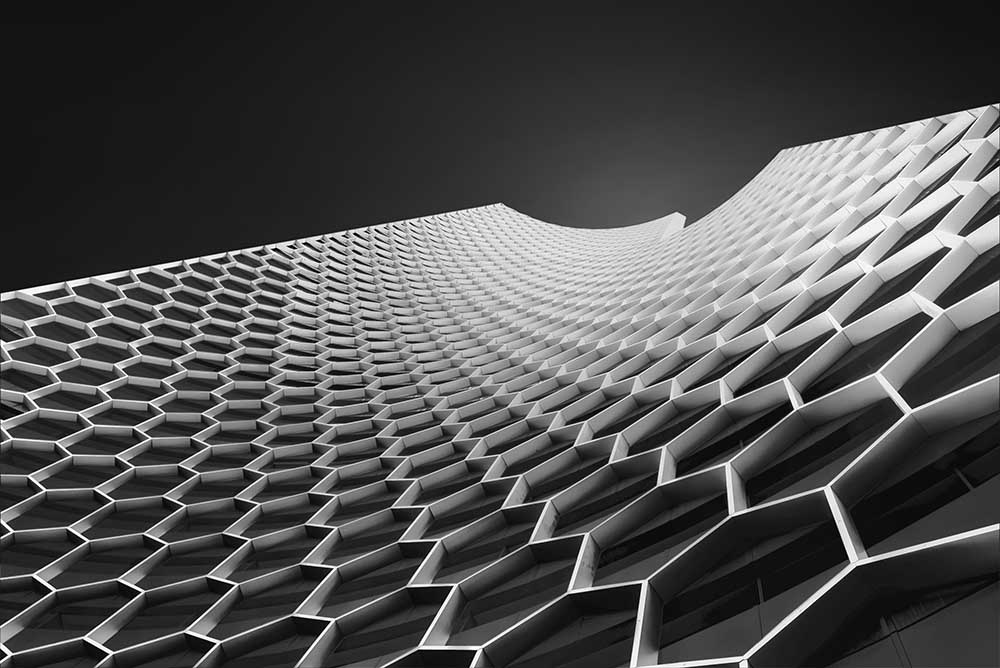 Bienenstöcke von Ahmed Thabet