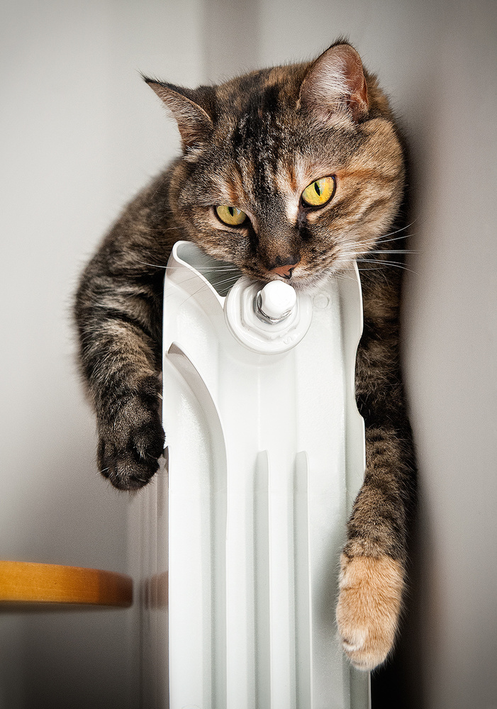 Warm embrace von Aida Ianeva