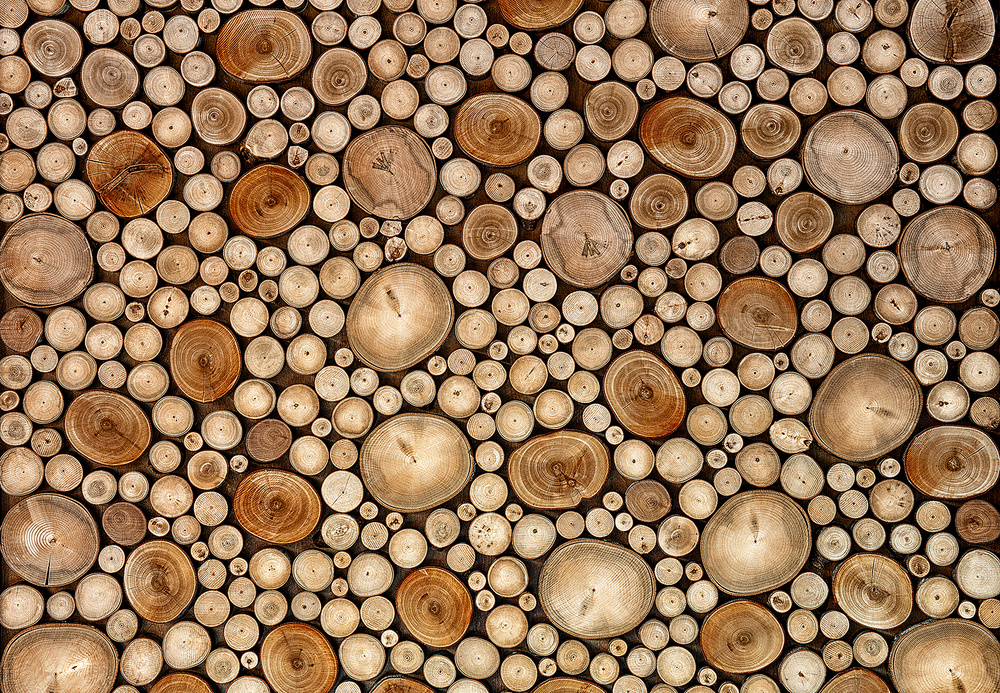 Circles von Aida Ianeva