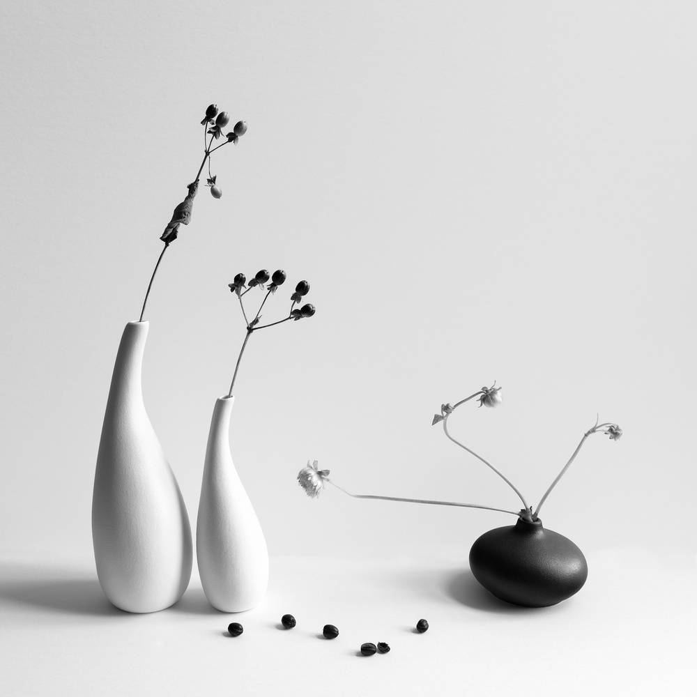 Black and White von Aidong Ning