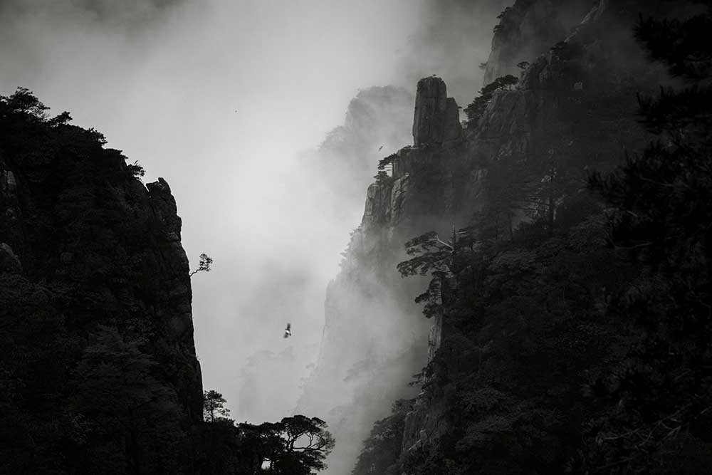 Ohne Titel von Aijun Wang