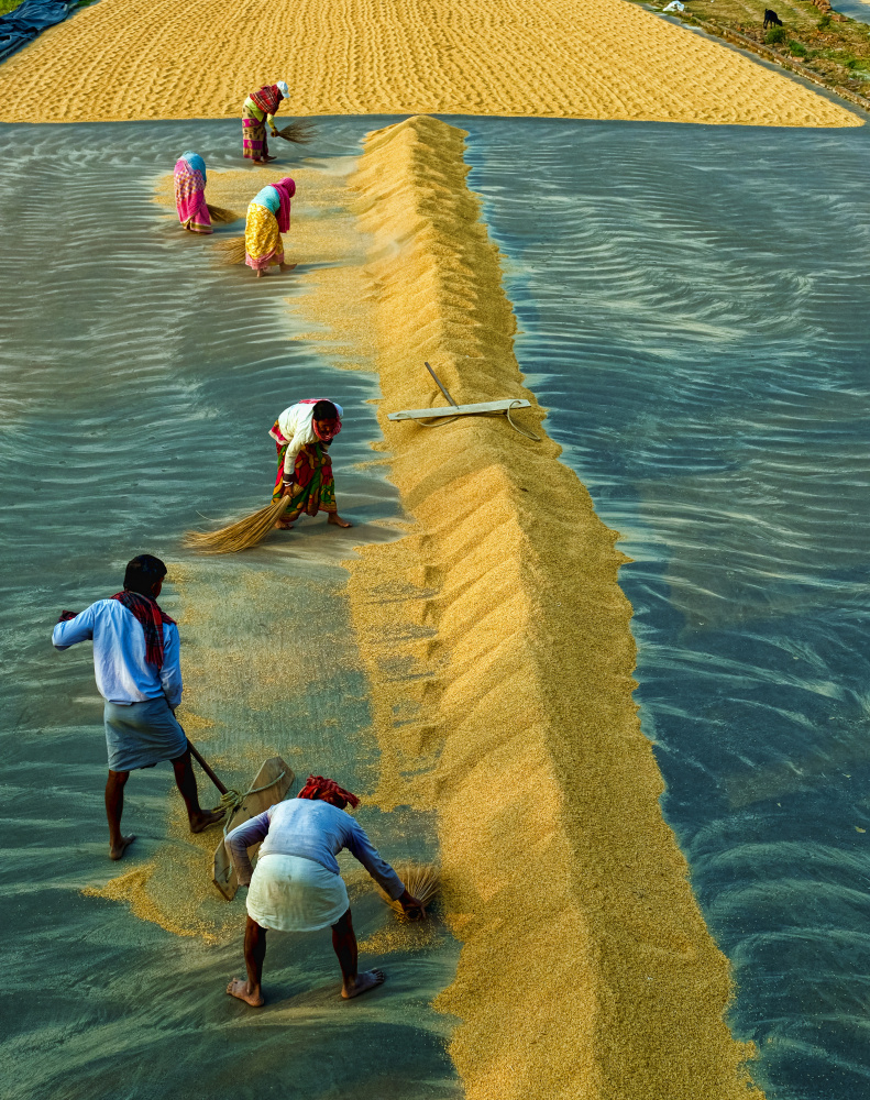 Rural life von Ajit Kumar Majhi