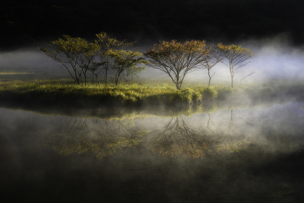 floating in the fog von Akira Nagase