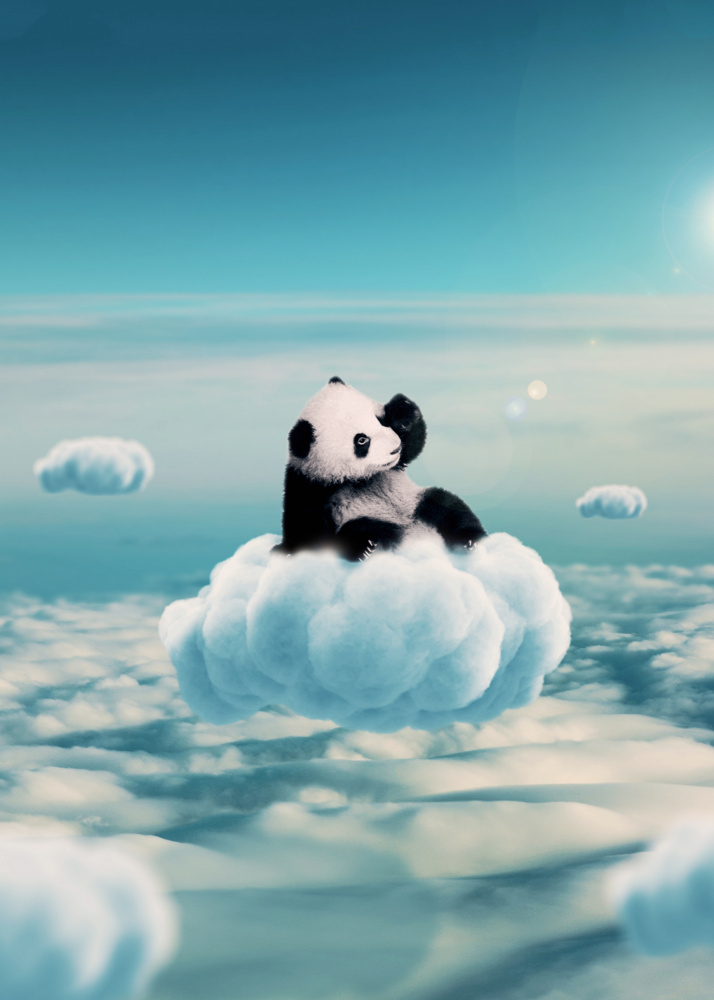 Flying Clouds With Baby Panda von Al Barizi