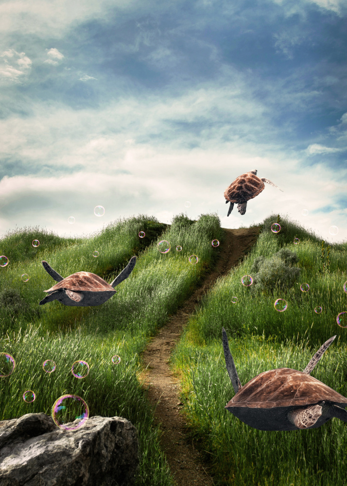 Turtles in the Green Fields von Al Barizi