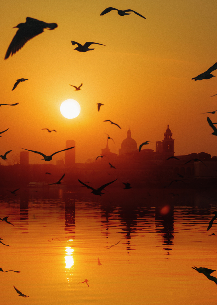 Sunset Birds Lake von Al Barizi