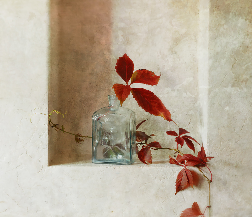 with a branch of wild grapes von Ala Pneuma