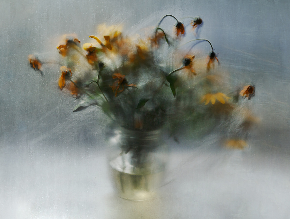 fading bouquet von Ala Pneuma