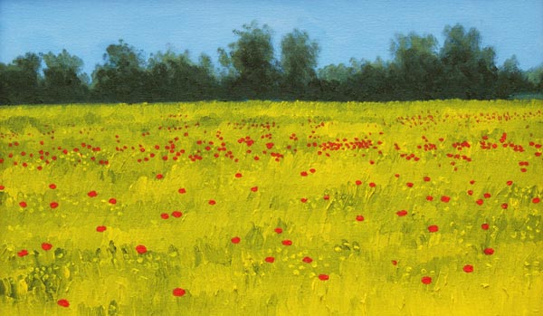 Yellow Field with Poppies, 2002 (oil on canvas)  von Alan  Byrne