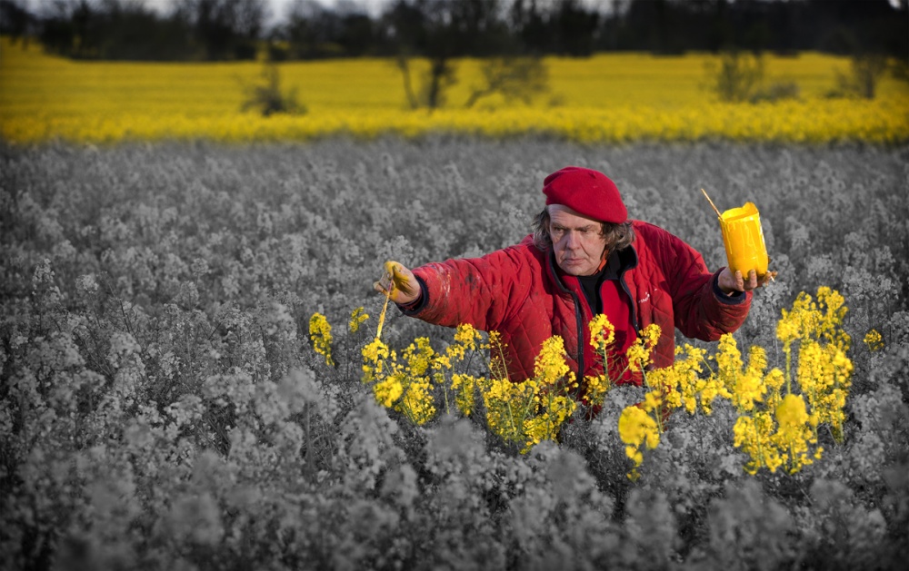 An Artists Work Is never Done von Alan Mahon