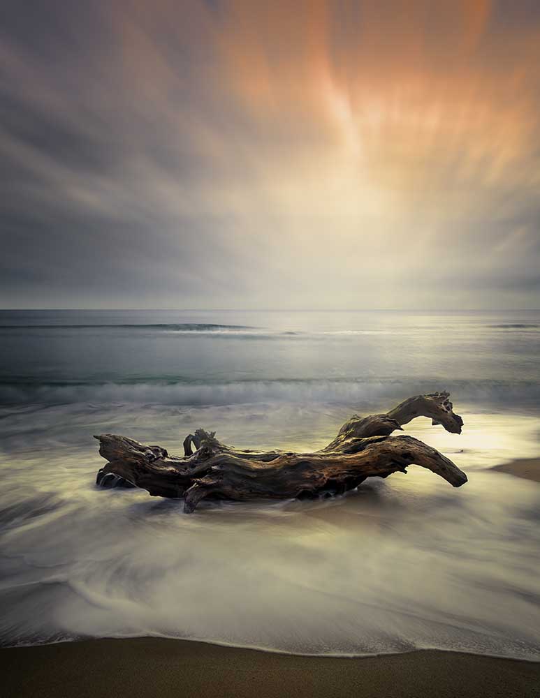 Morgenlicht von Albena Markova