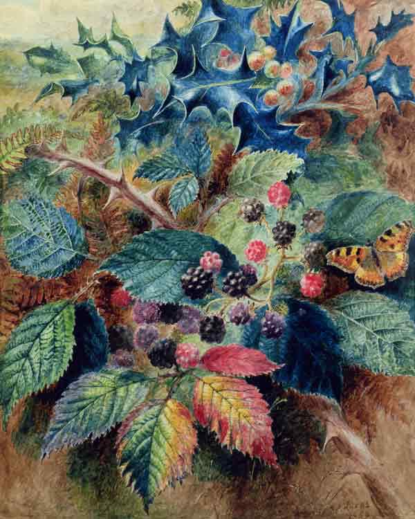 Blackberries and Holly with a Butterfly