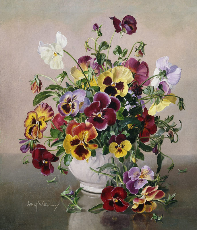 A Still Life with Pansies von Albert Williams