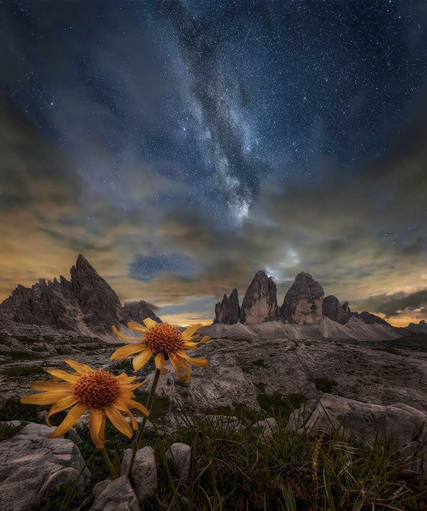 Sogar die Blumen scheinen von den Sternen fasziniert zu sein von Alberto Ghizzi Panizza