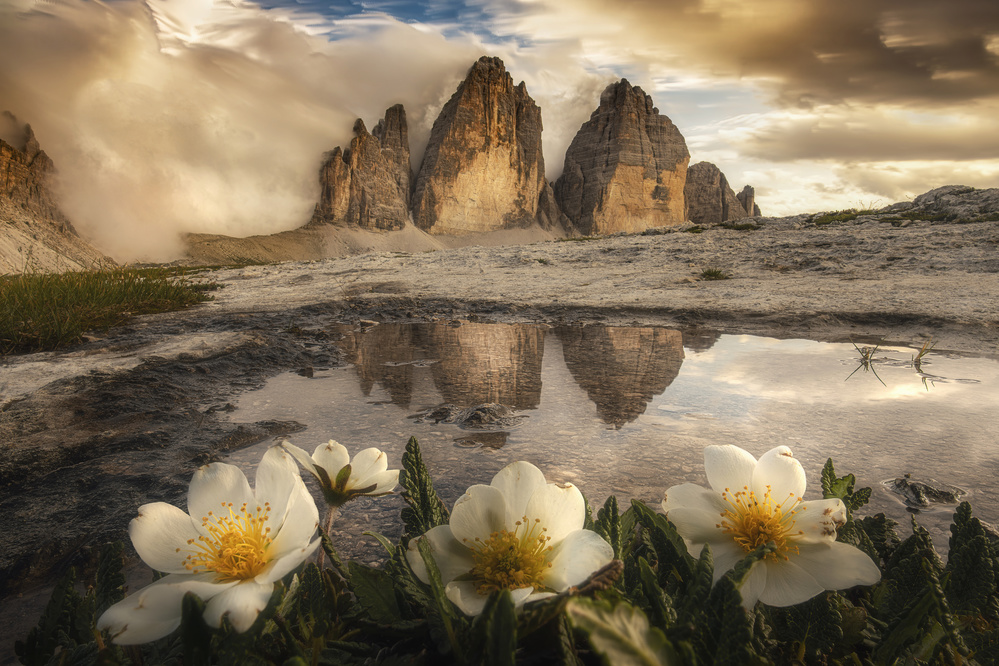 Tre Cime di Lavaredo, always great emotions! von Alberto Ghizzi Panizza