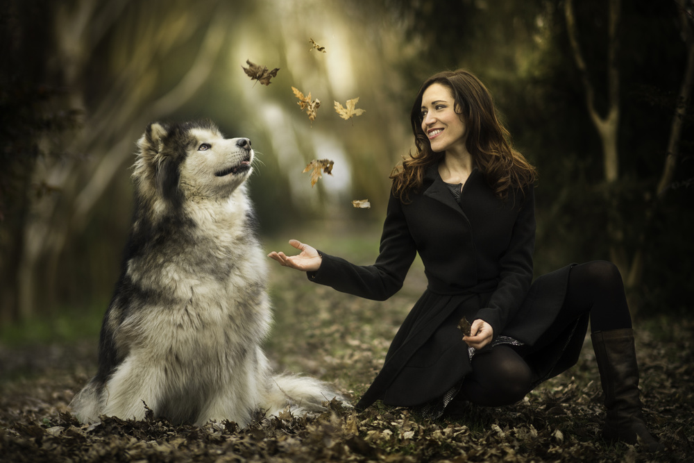 Enchanted by the leaves von Alberto Ghizzi Panizza