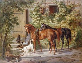 Pferde vor dem Eingang des Hauses