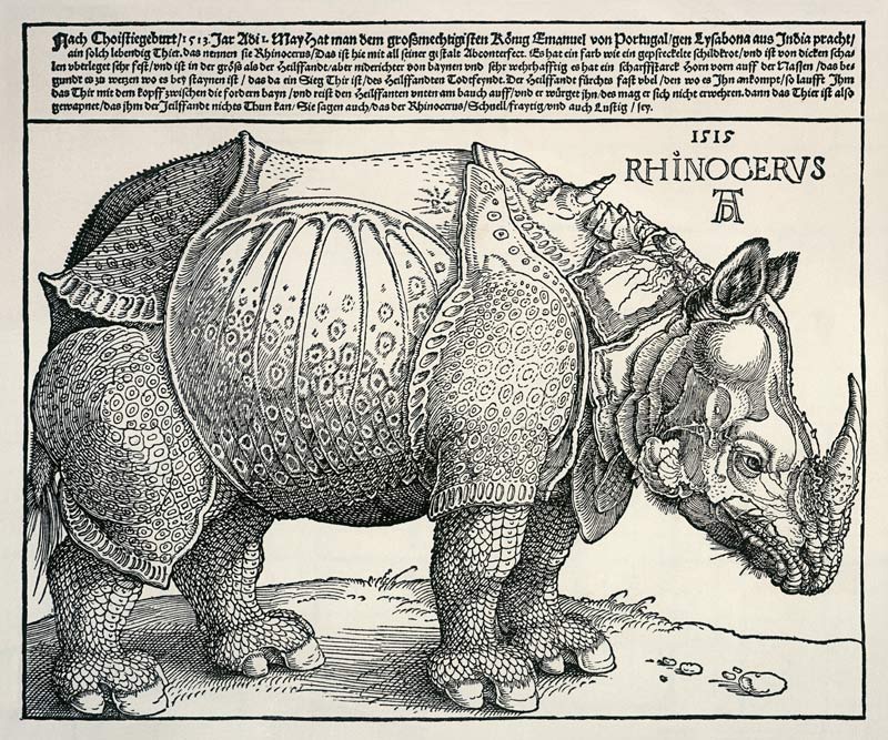 Nashorn von Albrecht Dürer