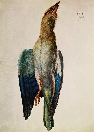 Blue Crow, 1512 (w/c & gouache on vellum)
